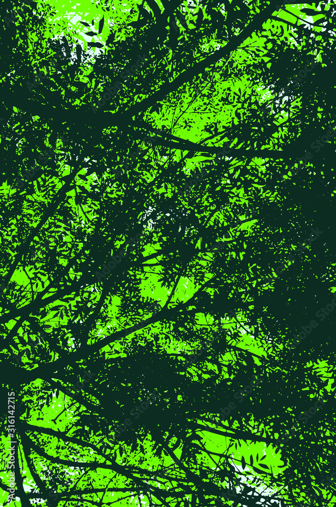 Scenery in green, underneath a thick ash foliage. Illustration of spring or summer in a forest, looking upward. Leaves filtering the daylight. Vector drawing. Scenery in green, underneath a thick ash foliage. Illustration of spring or summer in a forest, looking upward. Leaves filtering the daylight. Vector drawing.