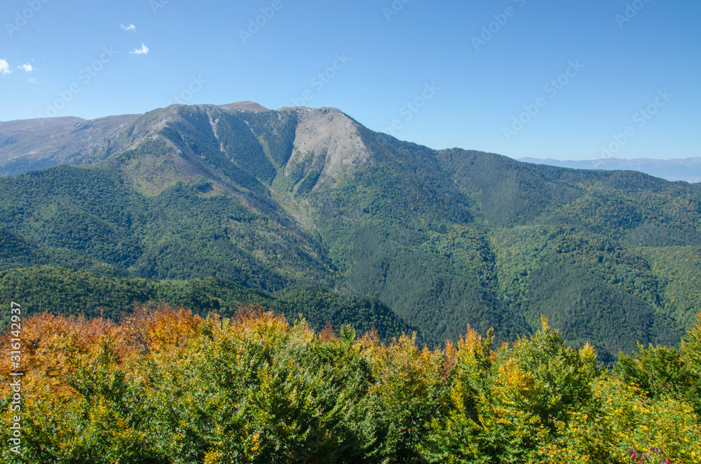 Mountain Panorama - Wild Nature Forest - Wild Green Nature - Mariovo, Macedonia