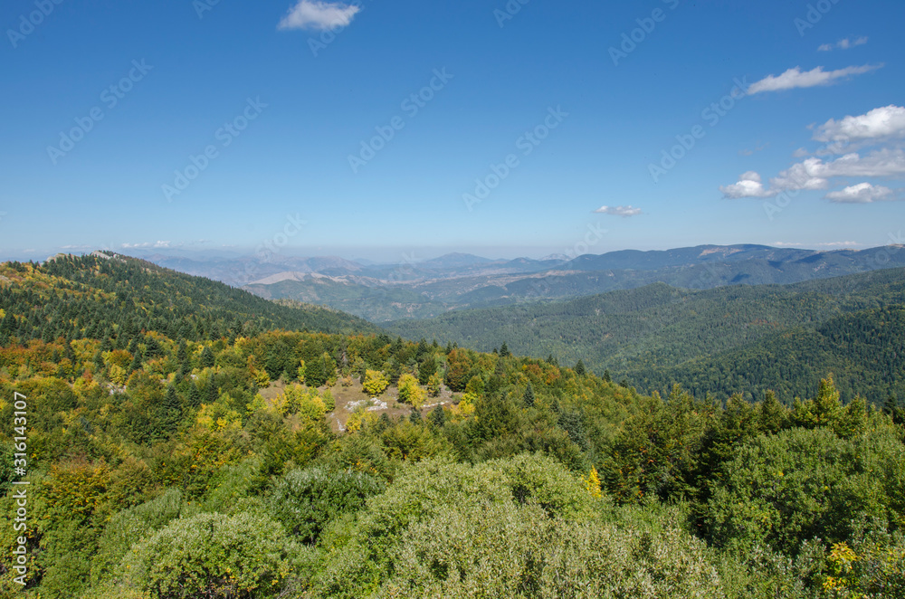 Green Forest Wallpaper - Mountainous Panorama - Clean Nature – Macedonia