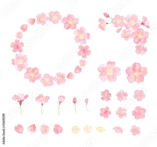 Obraz na płótnie Ilustracja wiśniowych kwiatów malowane akwarelą