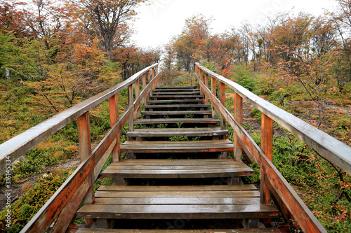 Fototapeta Naklejka Na Ścianę i Meble -  Empty wooden boardwalk after the rain amongst fall foliage