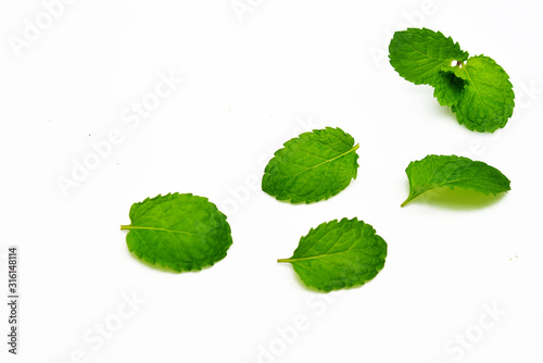 Mint leaves isolated on white