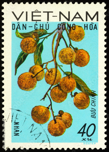 Lychee fruits on postage stamp