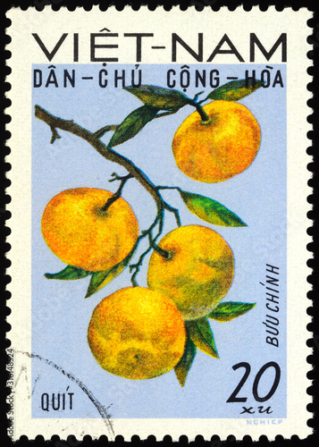Tangerine fruits on postage stamp