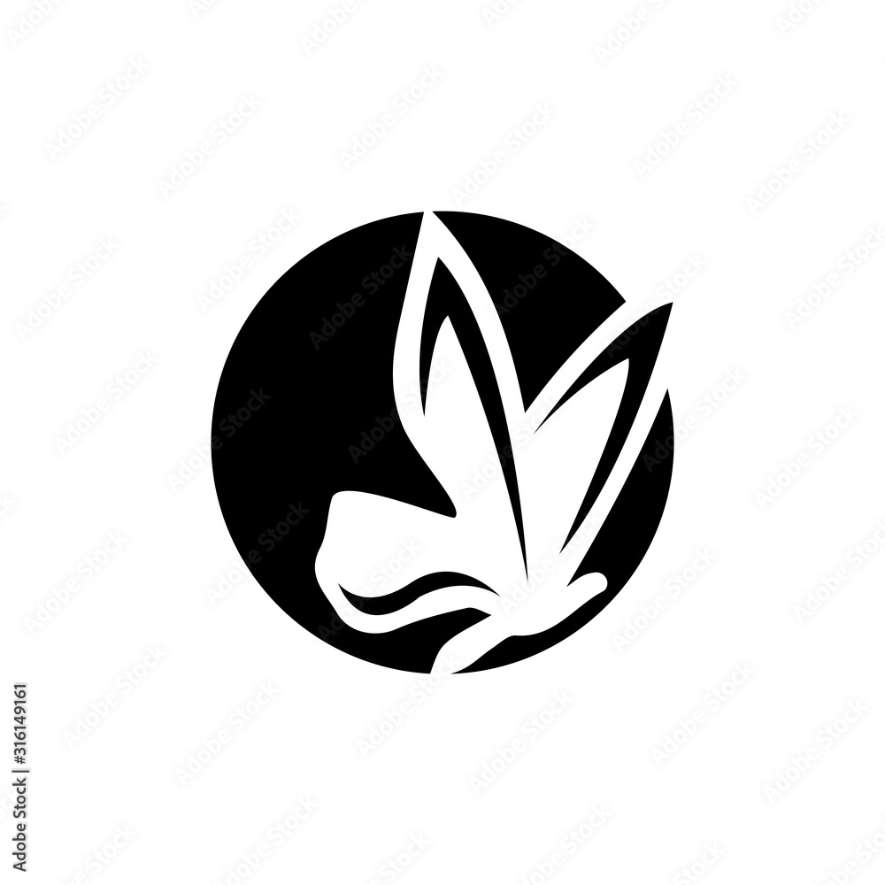 Fototapeta premium Beauty Butterfly Logo Template Vector icon design