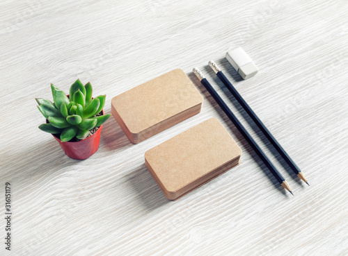 Branding stationery template. Blank brown paper business cards, pencils, eraser and succulent plant.