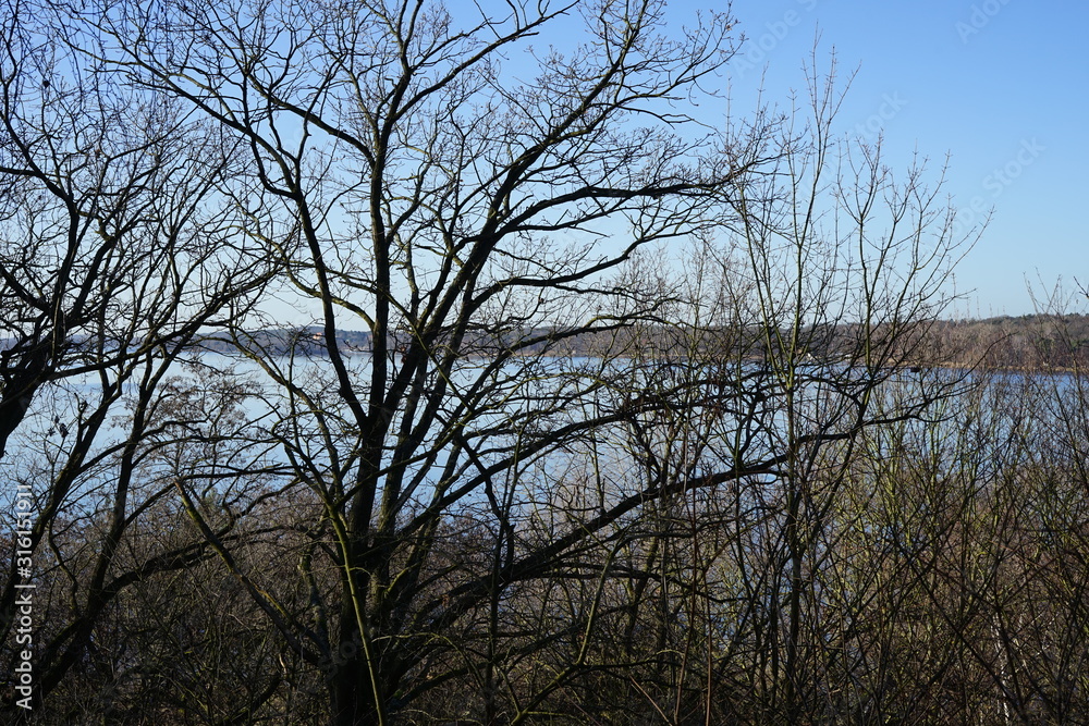 Sonnige Flusslandschaft hinter kahlen Bäumen Sonnige Flusslandschaft hinter kahlen Bäumen