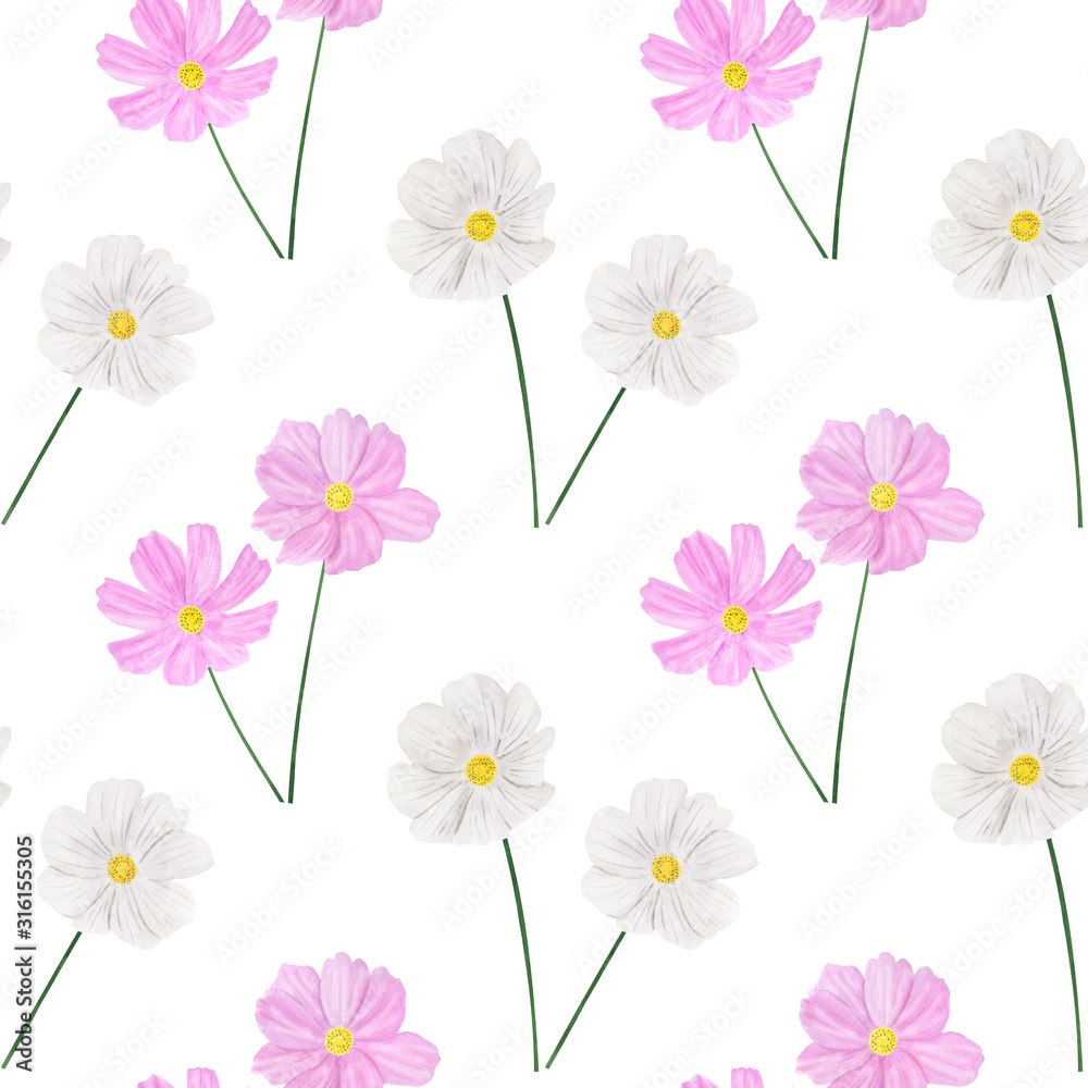 Seamless pattern Cosmea flowers watercolor botanical illustration