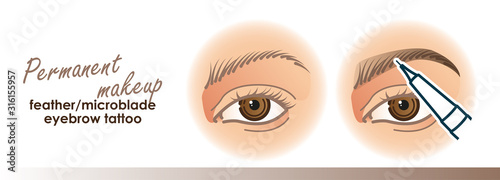 Permanent makeup illustration. Feather, microblade eyebrow tattoo procedure