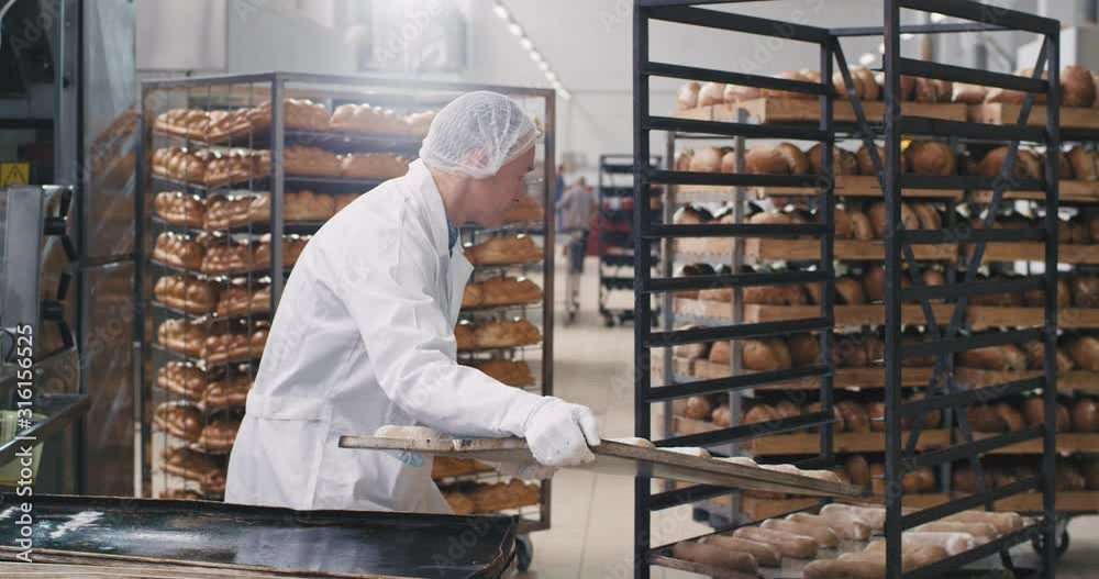 Mature man baker in special white equipment take the shelf of raw bred to transport all the bred to baking in the oven , food industry bakery