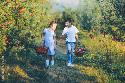 Photo of little sister and brother gathering apples for apple pie, on sunny autumn weekend.