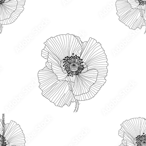 line pattern with poppies. Monochrome floral background wallpaper.