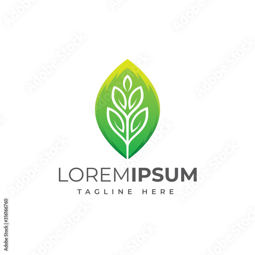 Modern leaf logo design vector illustration