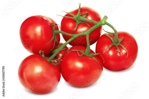 Tomatoes on the Branch. Fresh Ripe Tomato Isolated on White Background, Full Depth of Field   