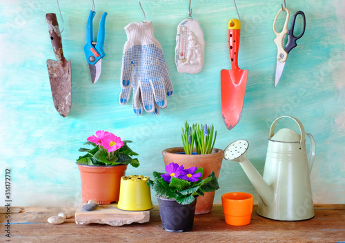 Obraz na plátně flowers and gardening utensils, springtime gardening, good copy space