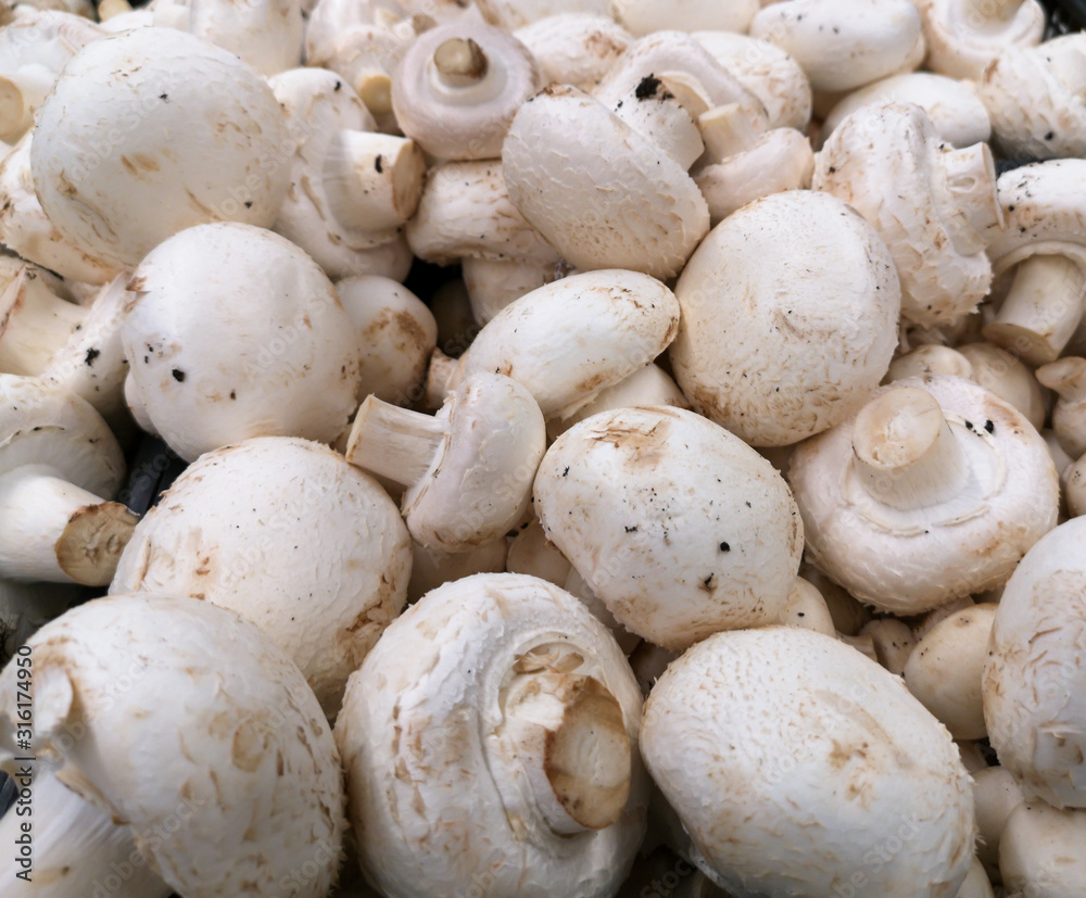 Champignon mushrooms in the store as a background Champignon mushrooms in the store as a background