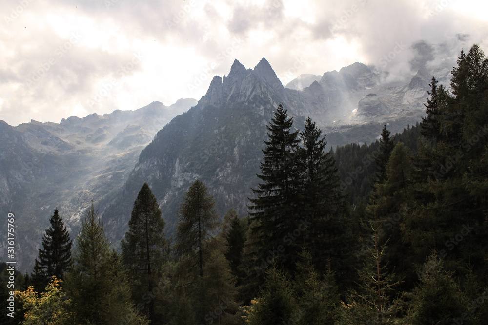 Fototapeta premium Zauberhafte Alpenlandschaft; Blick zum Punta Medaccio (Bernina-Alpen)