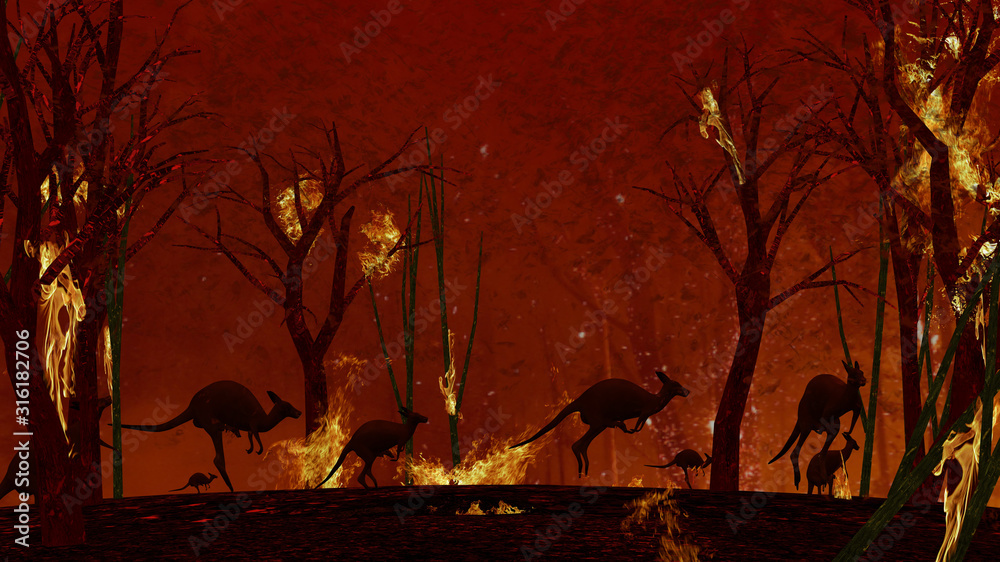 Group of kangaroos trying to escape from flames and fires between burnt