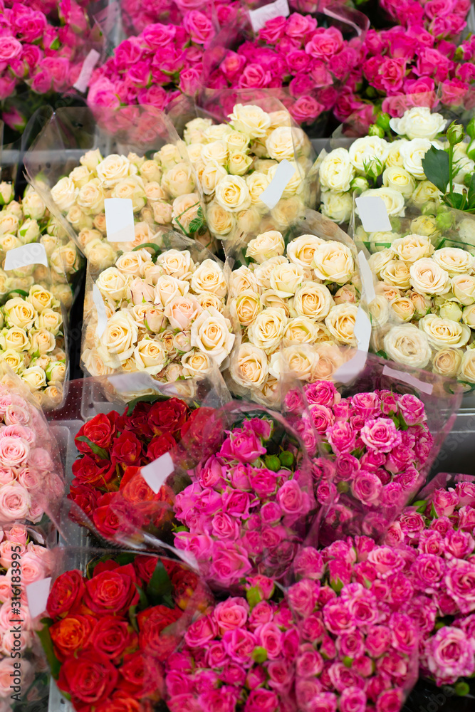 Multi-colored roses red, pink, yellow, white, orange. Wholesale floristic base, shop with flowers for Valentine's Day on February 14 or International Women's Day on March 8.