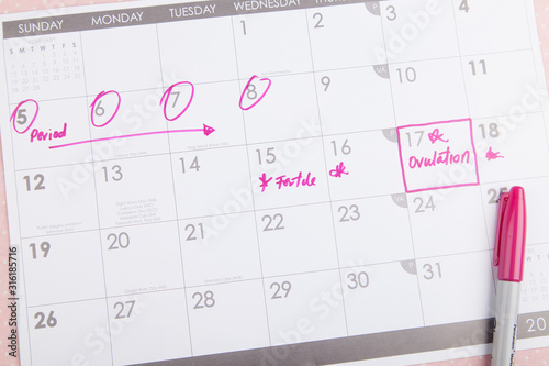 Fertile period and ovulation on calendar  photo