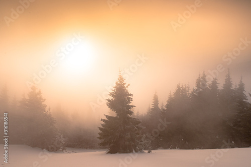Orange sun in winter nature, beautiful landscape, evening sun
