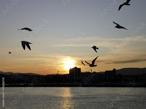 Crossing the Dardanelles channel with the sunrise and seagulls flying photo