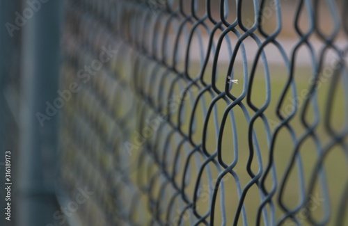 As background and text: fenced area, metal, green fence Blank for design.