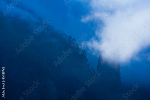 Roques, Fog and Canary Island pine forest, La Cumbrecita, Caldera de Taburiente National Park, Island of La Palma, Canary Islands, Spain, Europe © JUAN CARLOS MUNOZ