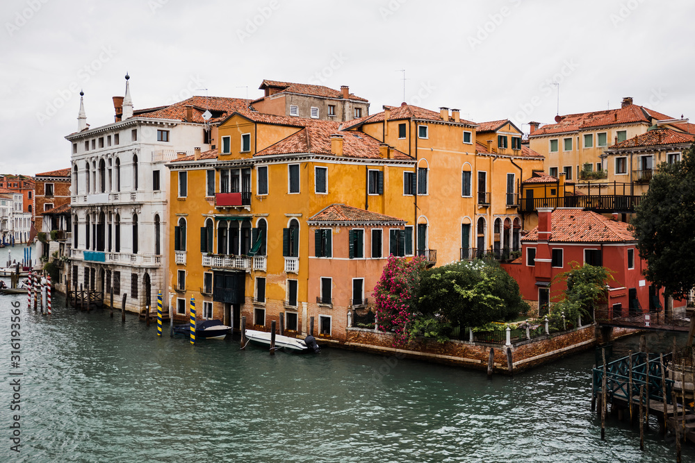 canal and ancient buildings with plants in Venice, Italy