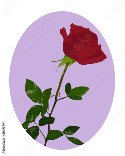 red rose love pattern