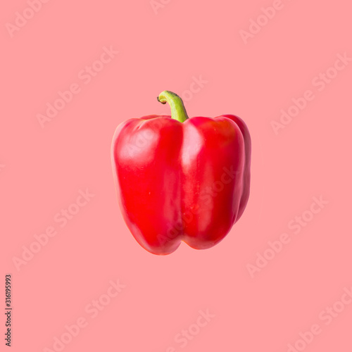 Stampa su tela Raw ripe red bell pepper floating isolated on cherry pink background