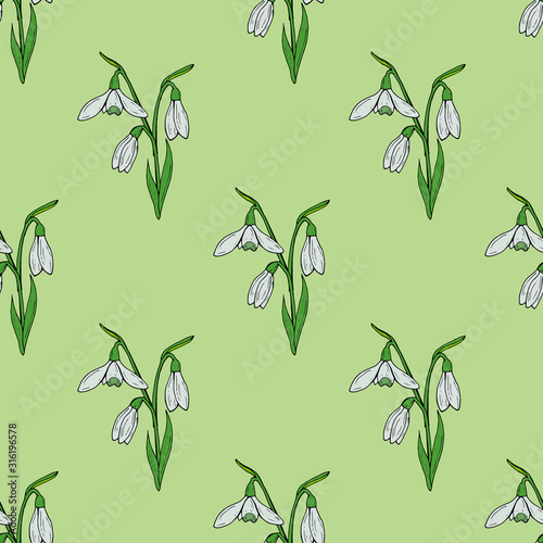 Seamless background with lovely snowdrops on light green background. Endless vector flowers pattern for your design.