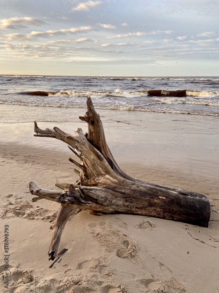 Gauja river Latvia drain into Baltic Sea Gauja river Latvia drain into Baltic Sea