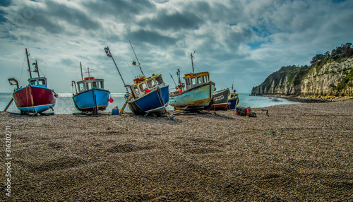 Fototapeta Naklejka Na Ścianę i Meble -  Beer, Devon, England, UK