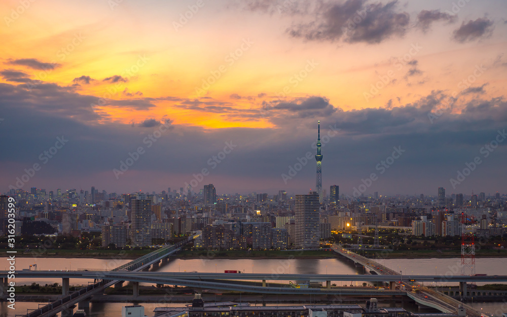 Tokyo City view at Dusk