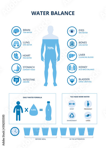 Water balance set with body and organs icons, vector illustration isolated.