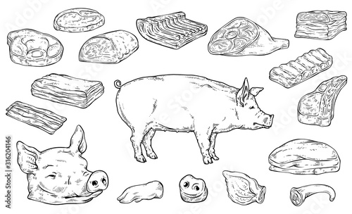 Severed big body parts and meat cuts in colorless hand drawn sketch style