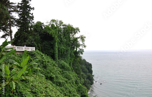 Observation deck with a white fence among beautiful nature overlooking the sea in the botanical garden