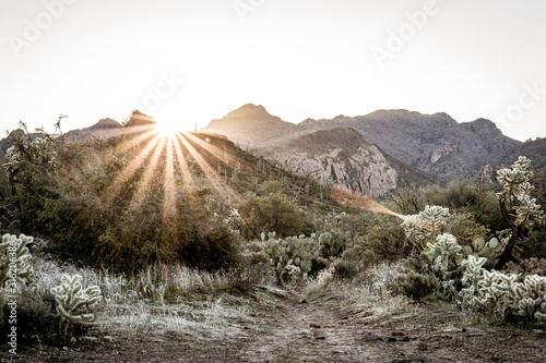 Dawn in Arizona