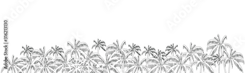 Palm trees in the wind. Vector image in the style of freehand drawing with transparency. Ornament for printing on various objects.