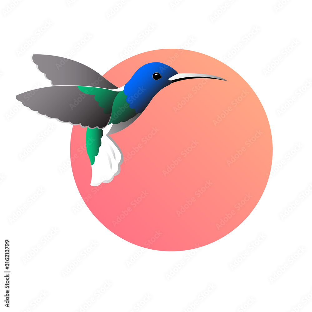 Fototapeta premium Colorful drawing of birdies colibri. Waving its wings on a round red background. Vector isolated illustration for logo or emblem.
