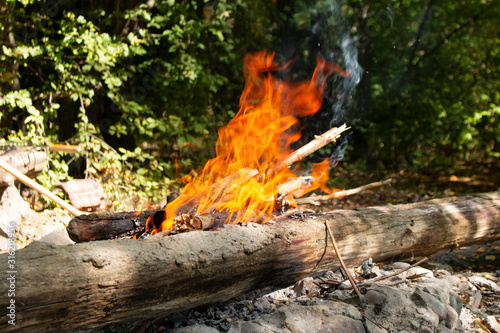 fire, close-up fire, tree burns © Kateryna Yaremchuk