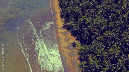 Deserted Tropical Beach and Palmtrees with crystal clear waters. Dinagat Philippines. photo