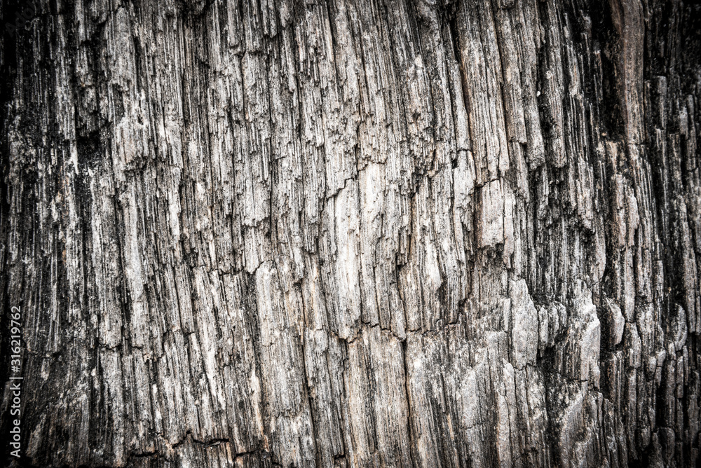 Rough texture pattern of the old black and white grunge stone surface, Strong structure durable nature of rock for abstract background Rough texture pattern of the old black and white grunge stone surface, Strong structure durable nature of rock for abstract background