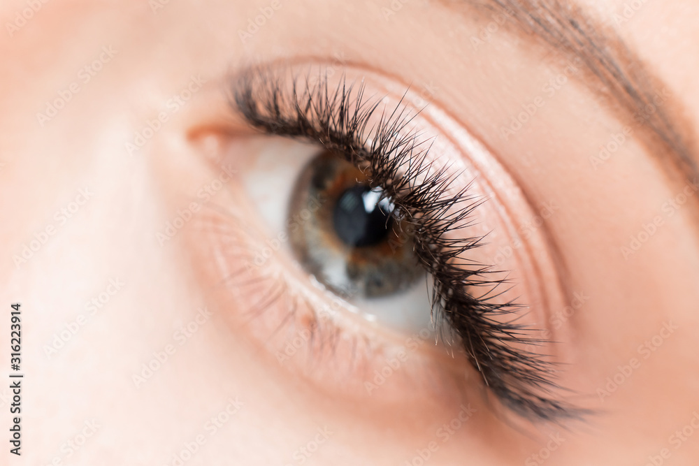 Naklejka premium Eyelash extension procedure. Beautiful female eyes with long lashes makeup closeup