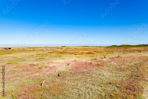 Fotografia moor heath of Wild coast  on the island of Belle Ile en Mer in the Morbihan in F