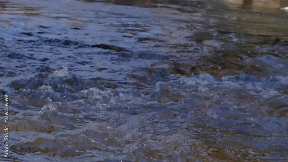 Slow motion wide shot of creek flowing in nature running water Slow motion wide shot of creek flowing in nature running water