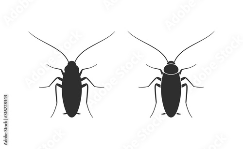 Cockroach logo. Isolated cockroach on white background