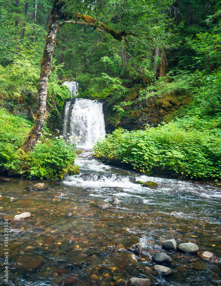 Breathtaking two tiered Twin Falls in a lush rainforest setting with rocks and boulders and clean mountain water cascading in the Gifford Pinchot National Forest Skamania County Washington State
