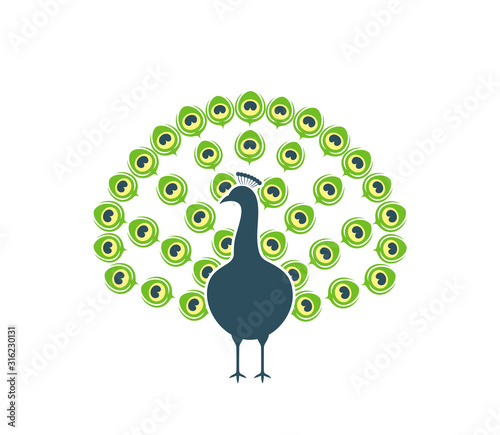 Peacock logo. Isolated peacock on white background